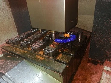 mould mould